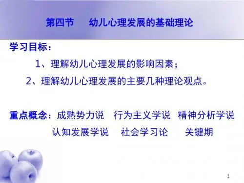 幼儿心理发展的基础理论ppt课件
