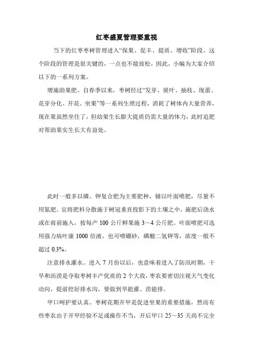 红枣盛夏管理要重视.doc