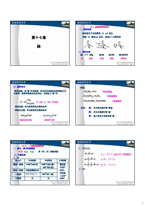 17胺