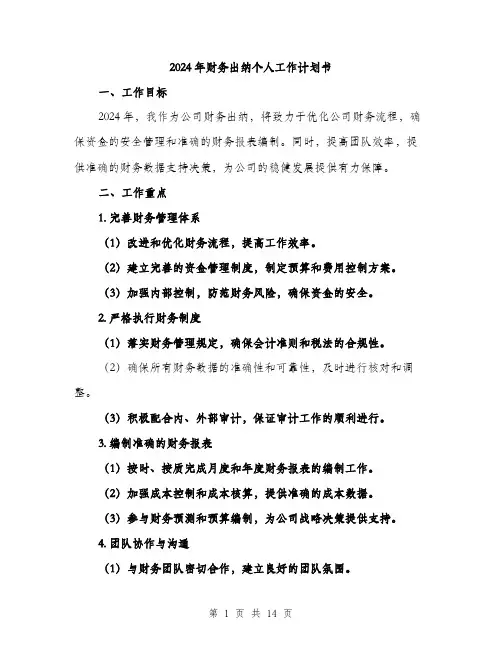 2024年财务出纳个人工作计划书(5篇)