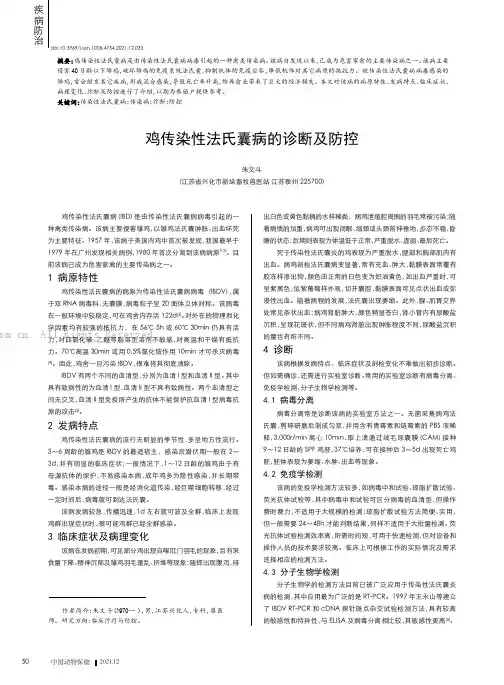 鸡传染性法氏囊病的诊断及防控