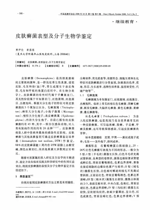 皮肤癣菌表型及分子生物学鉴定