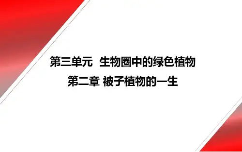 人教版生物七年级上册 《被子植物的一生》第一课时复习课件