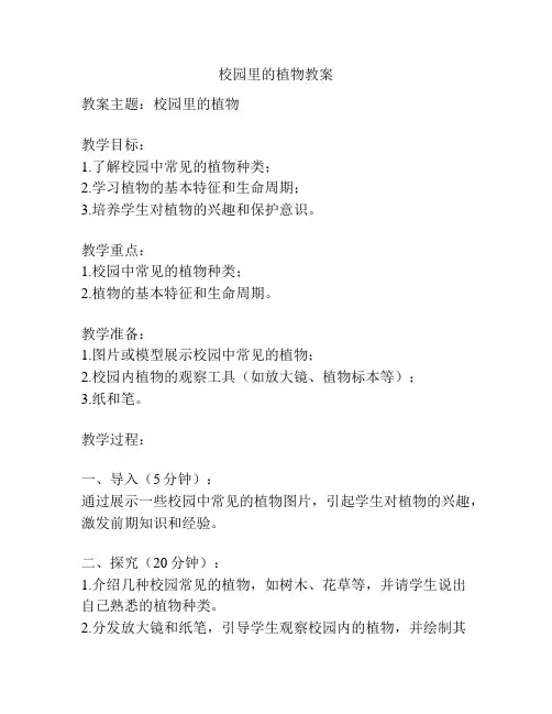 校园里的植物教案