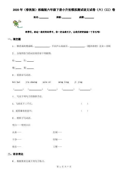 2020年(春秋版)部编版六年级下册小升初模拟测试语文试卷(六)(II)卷