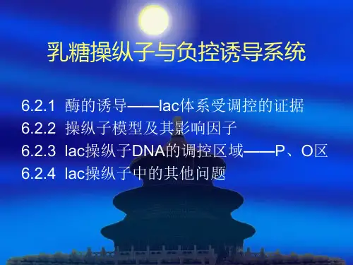 乳糖操纵子与负控诱导系统 