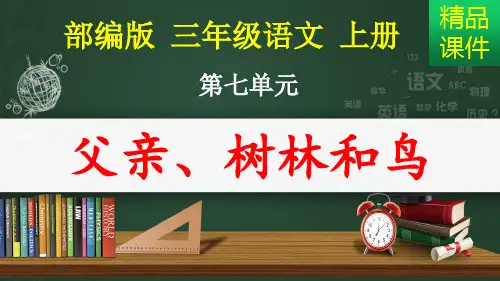 父亲树林和鸟_课件