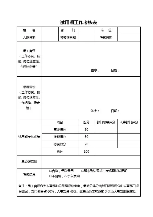 试用期工作考核表(1)
