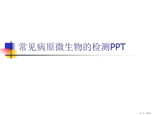 常见病原微生物的检测PPT 