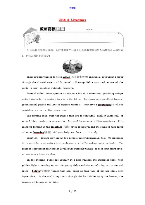 高中英语 Unit 8 Adventure Section Ⅰ Warm up  Lesson 1—