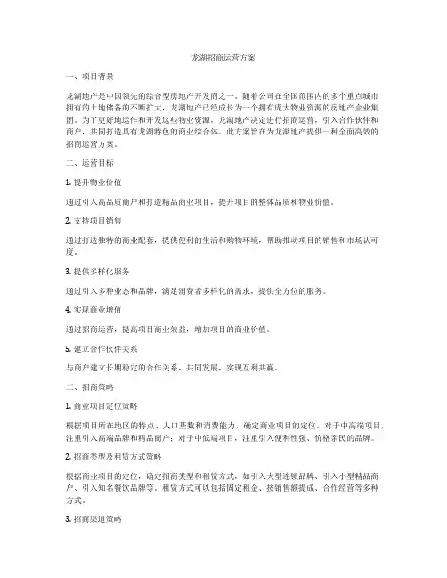 龙湖招商运营方案