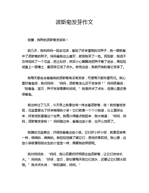 波斯菊发芽作文