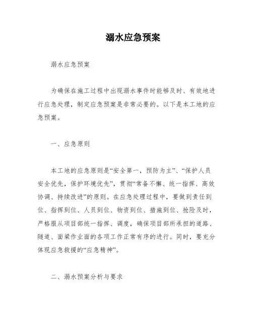 溺水应急预案