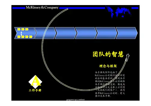 咨询顾问培训XX团队的智慧