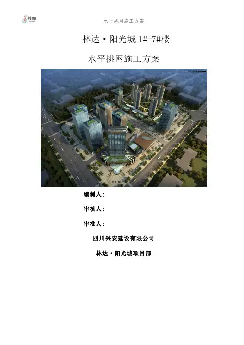 水平挑网施工方案