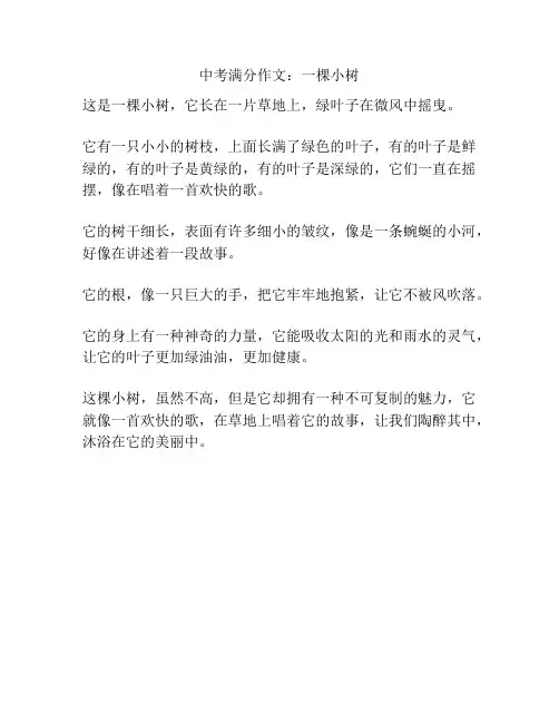 中考满分作文：一棵小树