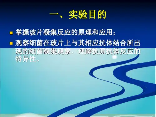 食品卫生七沙门氏菌检验三