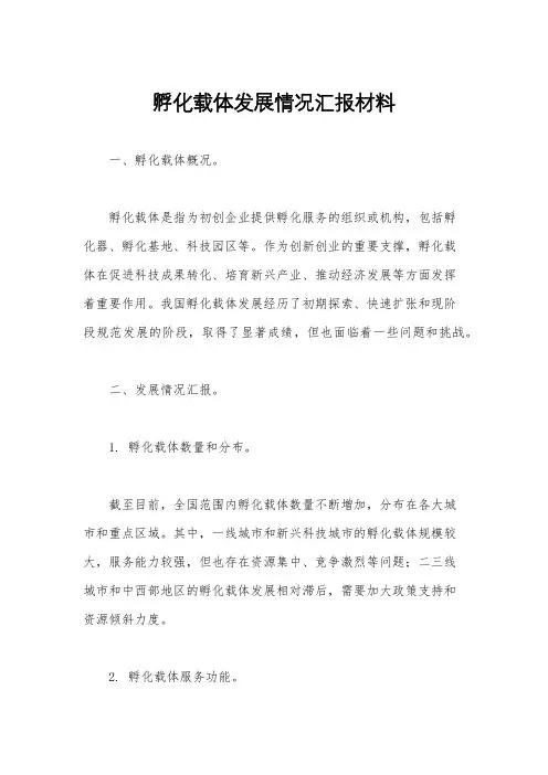 孵化载体发展情况汇报材料