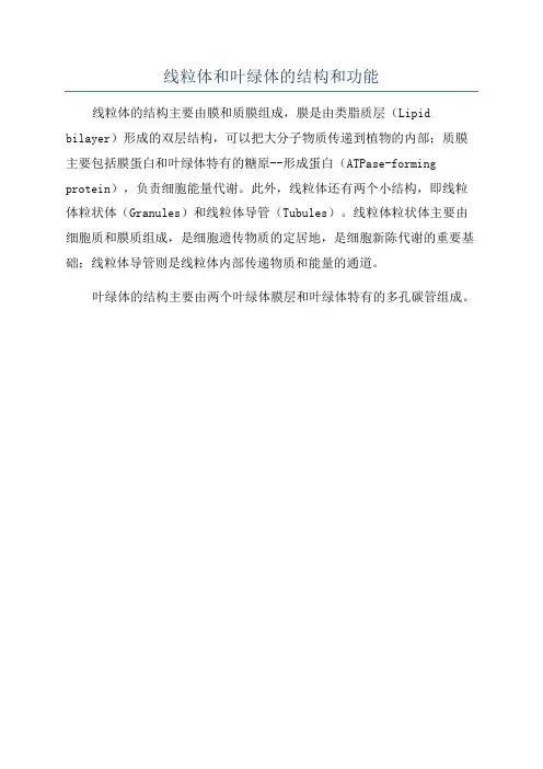 线粒体和叶绿体的结构和功能