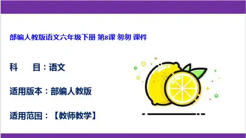 部编人教版语文六年级下册 第8课 匆匆 课件