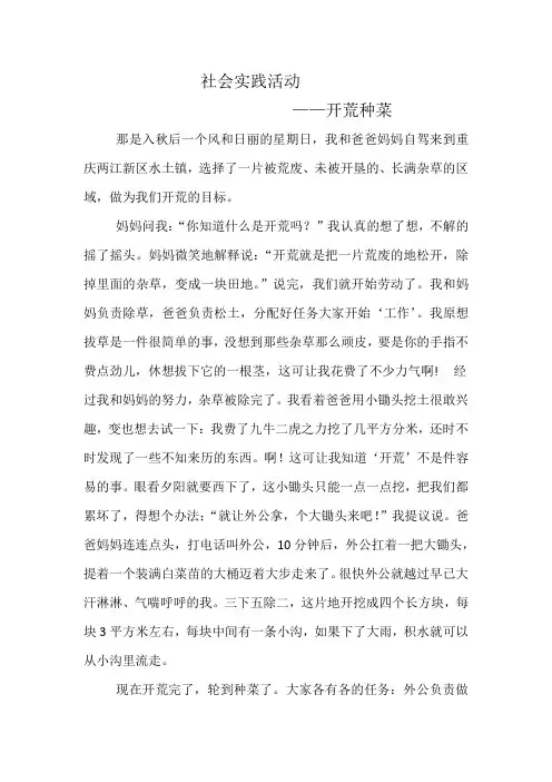 社会实践——开荒种菜