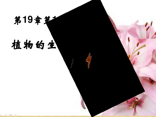 19.1植物的生殖 教学课件-2020-2021学年八年级生物苏科版上册