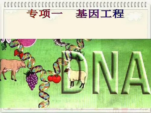 生物选修三11DNA重组技术的基本工具
