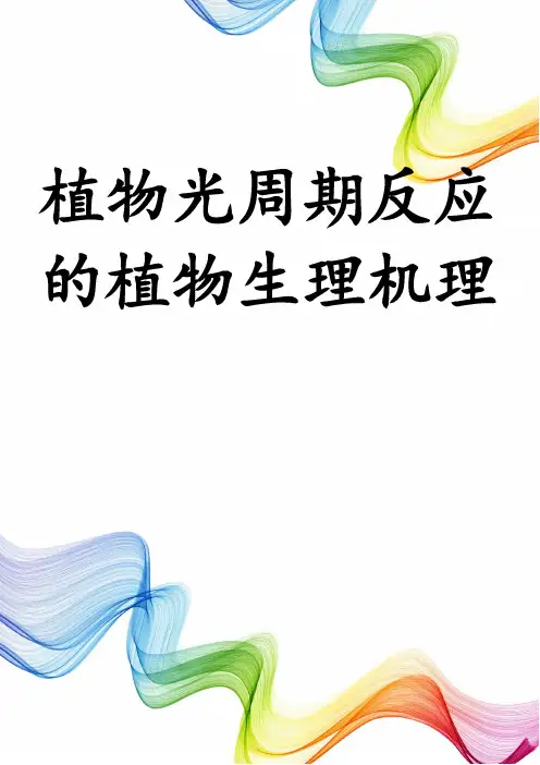 植物光周期反应的植物生理机理
