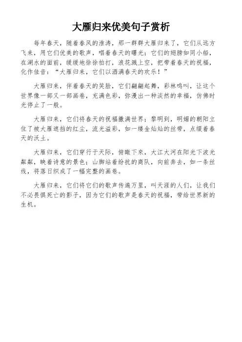 大雁归来优美句子赏析
