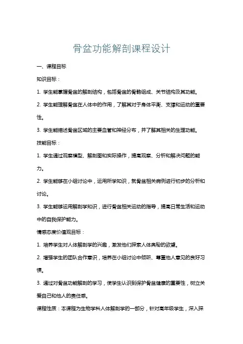 骨盆功能解剖课程设计