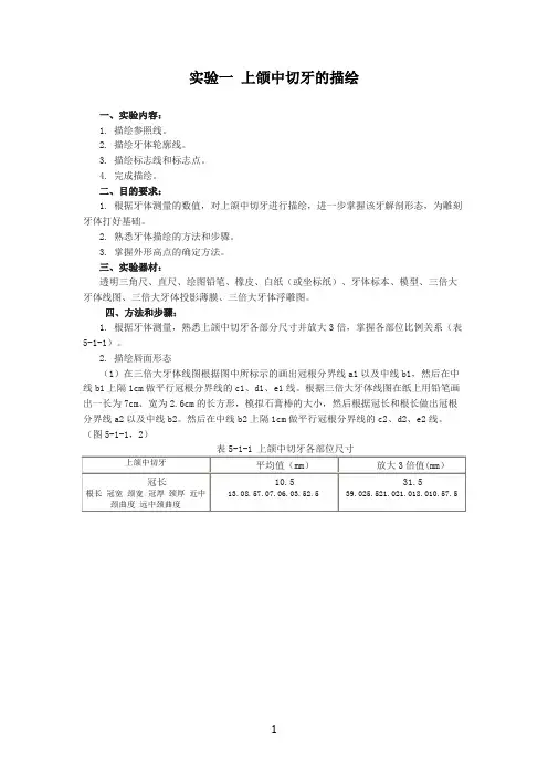 实验一_上颌中切牙的描绘