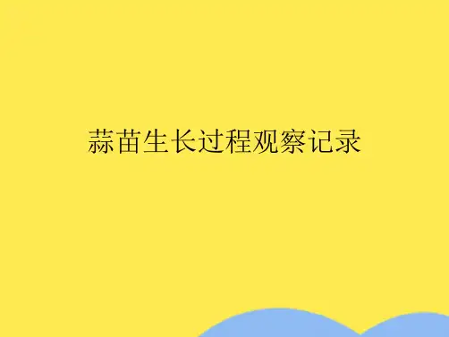 蒜苗生长过程观察记录(“蒜苗”文档)共5张