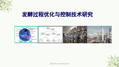 发酵过程优化与控制技术研究课件