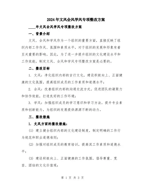 2024年文风会风学风专项整改方案