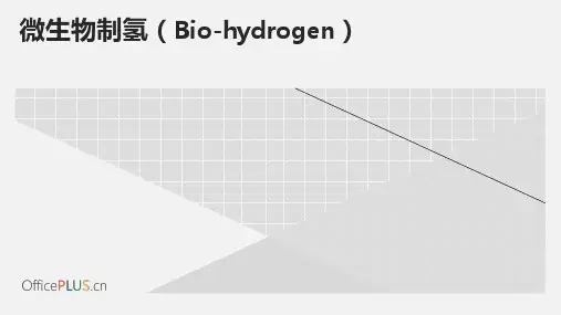 微生物制氢