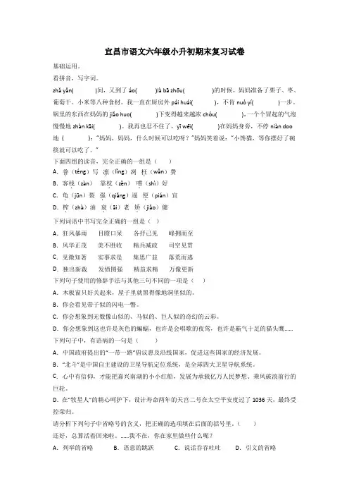 宜昌市语文六年级小升初期末复习试卷
