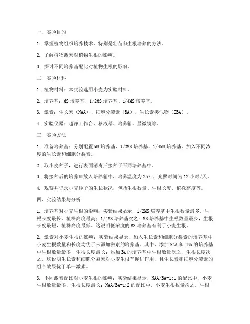 壮苗生根培养实验报告