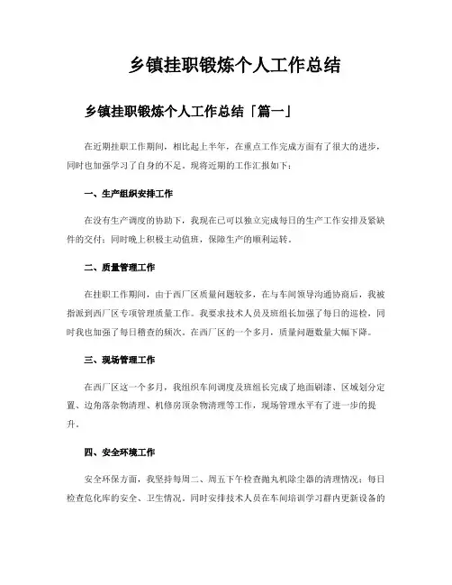 乡镇挂职锻炼个人工作总结