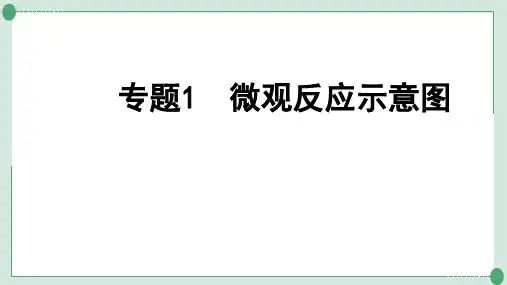 中考化学复习专题微观反应示意图