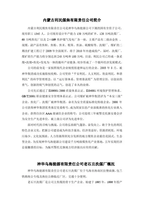 乌海能源公司简介