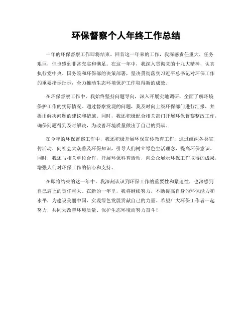 环保督察个人年终工作总结