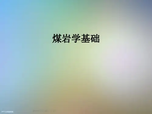 煤岩学基础