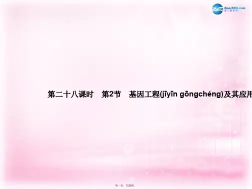 高考生物一轮总复习 第二十八课时 基因工程及其应用课件 新人教版必修2