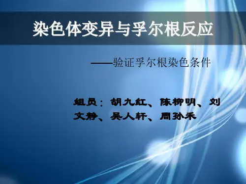 染色体变异与孚尔根反应