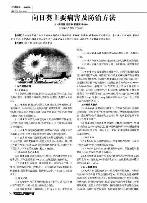 向日葵主要病害及防治方法