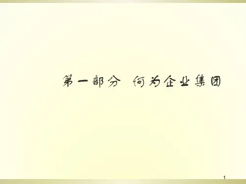 《大企业集团管控》ppt课件