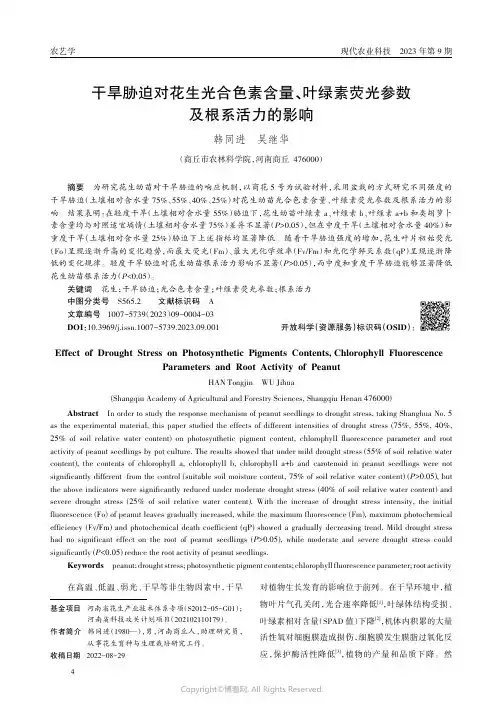 干旱胁迫对花生光合色素含量、叶绿素荧光参数及根系活力的影响