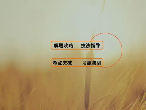 2018届高考英语人教大一轮复习领航课件：第二部分 语法考点精讲 第一节 冠词与代词 共92张 精品