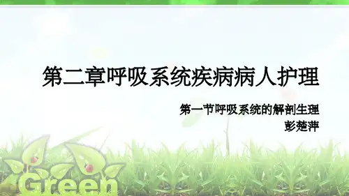 呼吸系统的解剖生理PPT课件