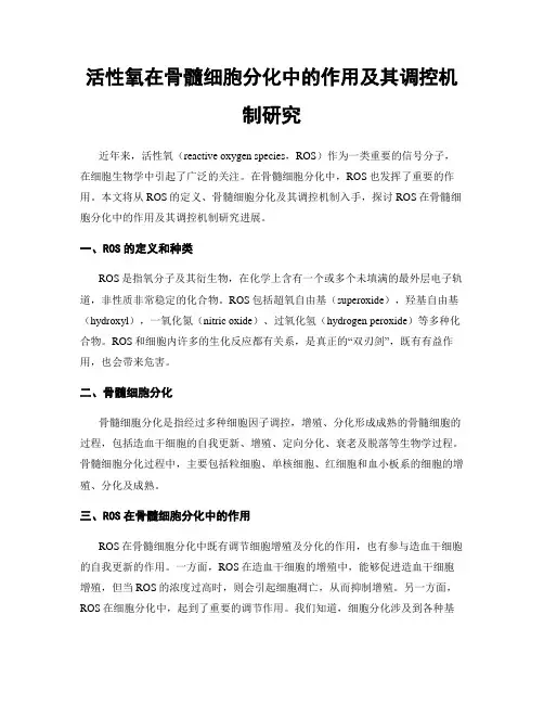 活性氧在骨髓细胞分化中的作用及其调控机制研究